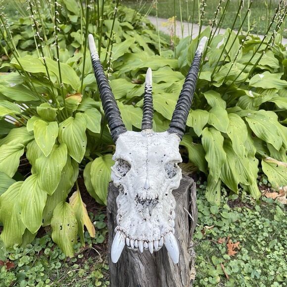Summit Collection Large Mythical Fantasy Dragon Skull Resin Wall Mount Sculpture - Picture 1 of 12